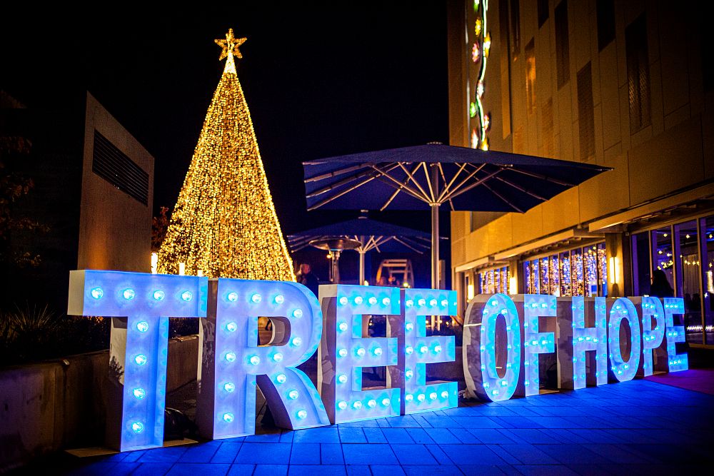 Tree of Hope Festival at the Landmark District